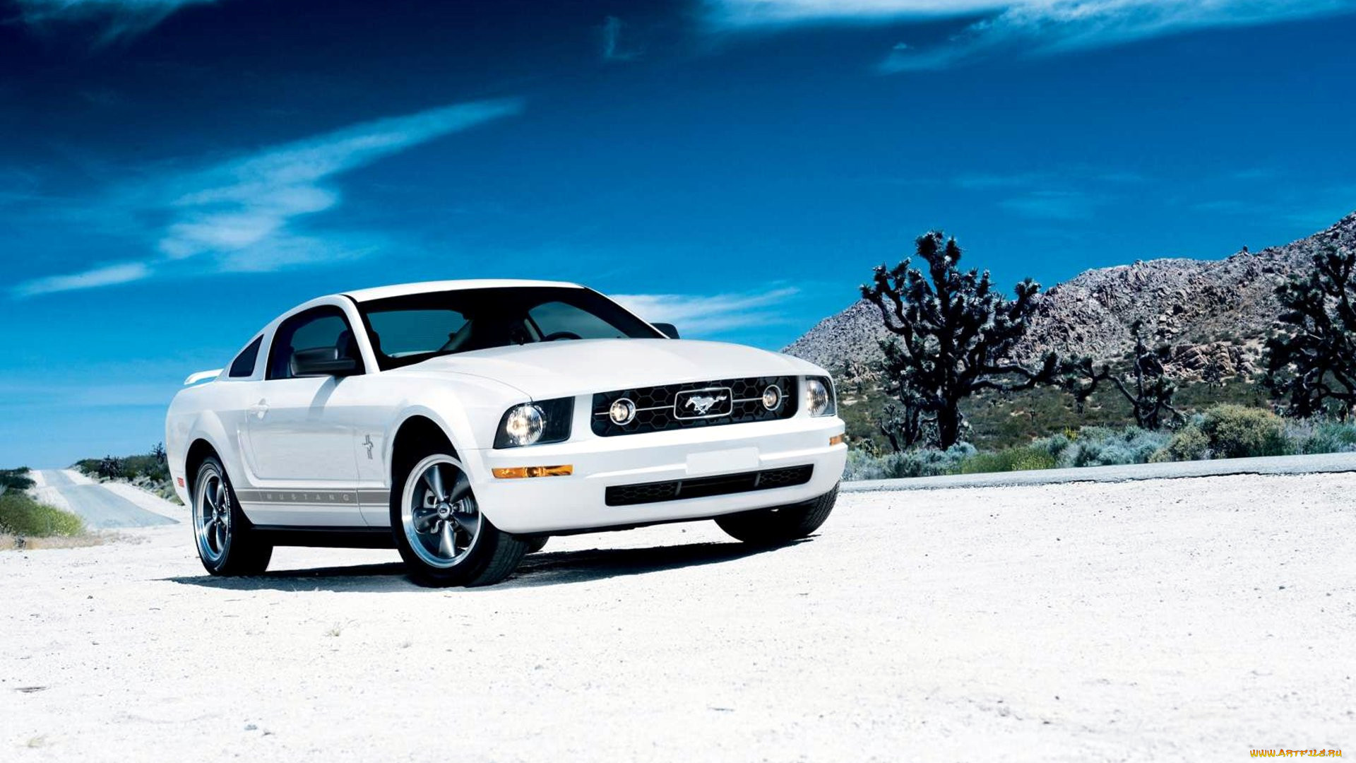 mustang, , ford, motor, company, 